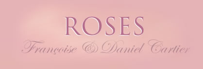 ROSES - Francoise & Daniel Cartier