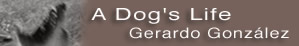 Gerardo Gonzalez - A dog's life