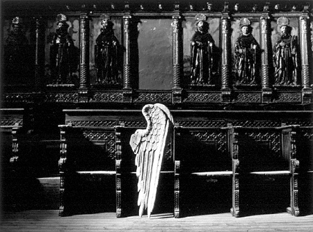 El ángel caído / The Fallen Angel