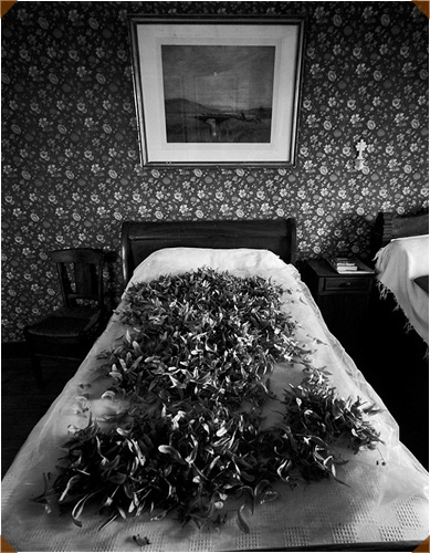 by Jack Welpott