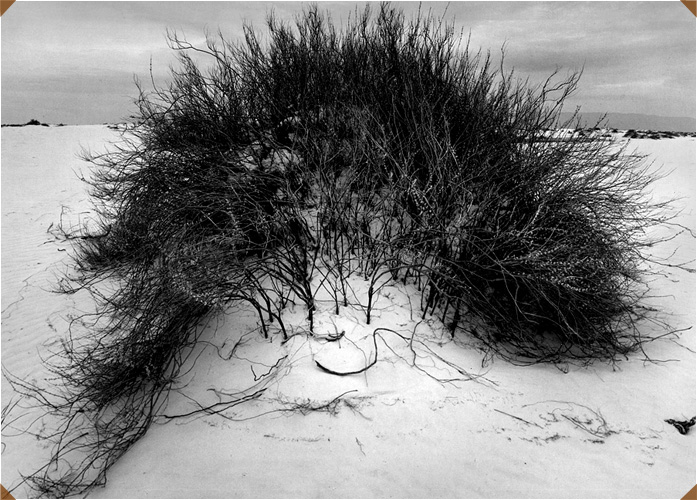 by Jack Welpott