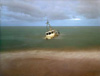Wyatt Gallery