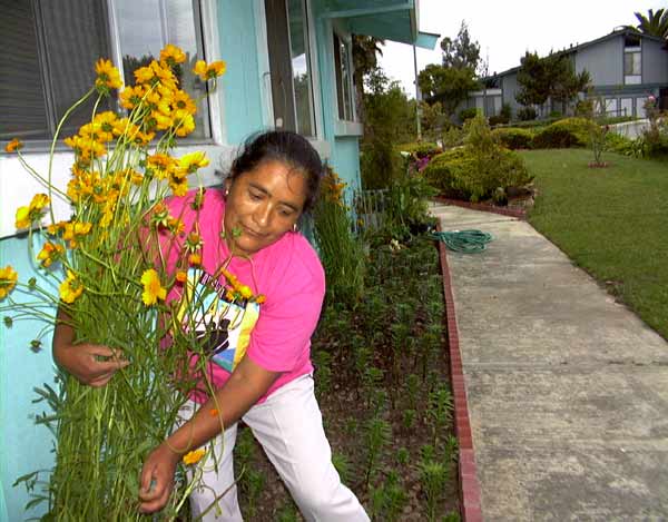 Reyna's garden