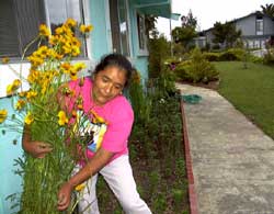 Reyna's garden