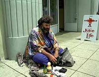 Hippie