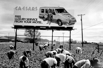 Mexican Migrant Workers, Highway in California