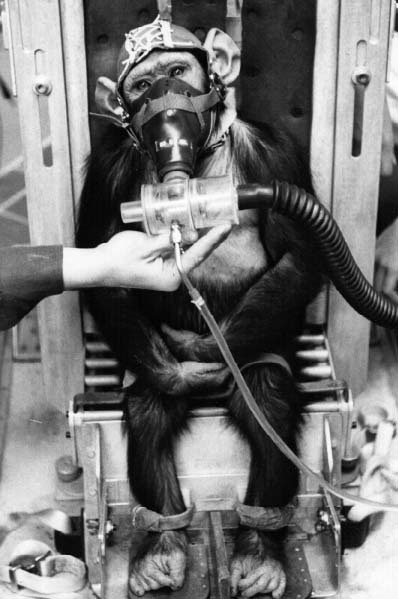 Click on picture to return / Oprima la imagen para regresar